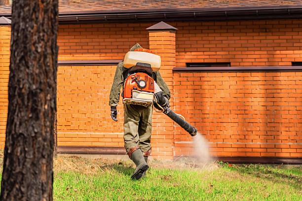 Top rated local Ant Control specialists in Bridgeport, MI